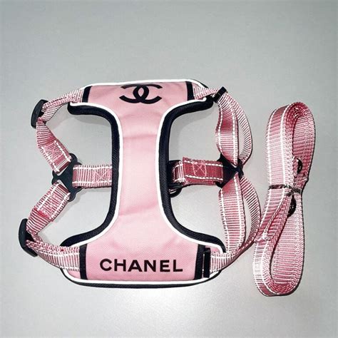 coco chanel clothes for dogs|Chanel dog collar for sale.